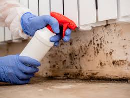 Best Asbestos and Lead Testing During Mold Inspection  in Washington Heights, NY